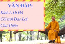 Vấn đáp: Kinh A Di Đà, cõi trời Đao Lợi, Chư Thiên – Thích Nhật Từ van dap kinh a di da coi troi da