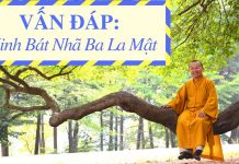 Vấn đáp: Kinh Bát Nhã Ba La Mật – Thích Nhật Từ van dap kinh bat nha ba la mat t