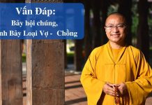 Vấn đáp: Kinh bảy loại vợ ( chồng ) – Thích Nhật Từ van dap kinh bay loai vo chong t