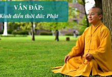 Vấn đáp: Kinh điển thời đức Phật – Thích Nhật Từ van dap kinh dien thoi duc phat
