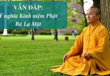 Vấn đáp: Kinh niệm Phật Ba La Mật – Thích Nhật Từ van dap kinh niem phat ba la mat