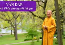 Vấn đáp: Kinh Phật cho người tại gia – Thích Nhật Từ van dap kinh phat cho nguoi tai 1