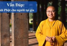 Vấn đáp: Kinh Phật cho người tại gia – Thích Nhật Từ van dap kinh phat cho nguoi tai