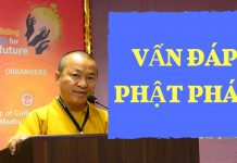 Vấn đáp: Kinh phát triển – Thích Nhật Từ van dap kinh phat trien thich nh