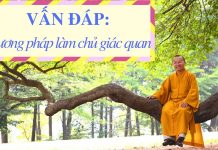 Vấn đáp: Làm chủ giác quan – Thích Nhật Từ van dap lam chu giac quan thich
