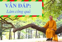 Vấn đáp: Làm công quả – Thích Nhật Từ van dap lam cong qua thich nhat