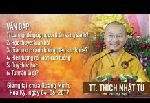 Vấn Đáp: Làm Gì Để Giúp Người Thân Vãng Sanh – Thích Nhật Từ van dap lam gi de giup nguoi tha