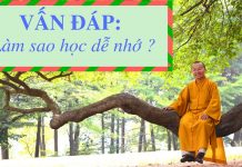 Vấn đáp: Làm sao học dễ nhớ – Thích Nhật Từ van dap lam sao hoc de nho thich