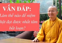 Vấn đáp: Làm thế nào để niệm Phật đạt được nhất tâm bất loạn – Thích Nhật Từ van dap lam the nao de niem phat