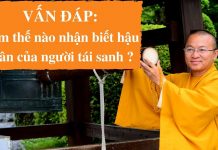 Vấn đáp: Làm thế nào nhân biết hậu thân của người tái sanh – Thích Nhật Từ van dap lam the nao nhan biet ha