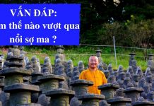 Vấn đáp: Làm thế nào vượt qua nỗi sợ ma – Thích Nhật Từ van dap lam the nao vuot qua noi 1