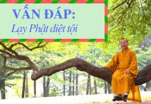 Vấn đáp: Lạy Phật diệt tội – Thích Nhật Từ van dap lay phat diet toi thich