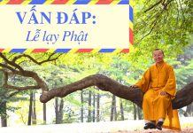 Vấn đáp: Lễ lạy Phật – Thích Nhật Từ van dap le lay phat thich nhat t