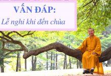 Vấn đáp: Lễ nghi khi đến chùa – Thích Nhật Từ van dap le nghi khi den chua thi