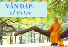 Vấn đáp: Lễ Vu Lan – Thích Nhật Từ van dap le vu lan thich nhat tu