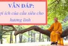 Vấn đáp: Lợi ích của cầu siêu cho hương linh – Thích Nhật Từ van dap loi ich cua cau sieu cho
