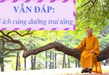 Vấn đáp: Lợi ích cúng dường trai tăng – Thích Nhật Từ van dap loi ich cung duong trai