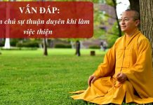 Vấn đáp: Luật nhân quả – Thích Nhật Từ van dap luat nhan qua thich nhat