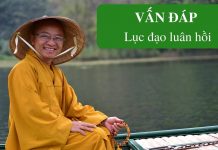 Vấn đáp: Lục đạo luân hồi – Thích Nhật Từ van dap luc dao luan hoi thich n