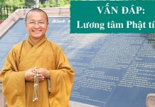 Vấn đáp: Lương tâm Phật tính – Thích Nhật Từ van dap luong tam phat tinh thic