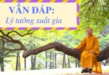 Vấn đáp: Lý tưởng xuất gia – Thích Nhật Từ van dap ly tuong xuat gia thich
