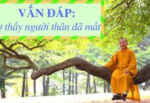 Vấn đáp: Mơ thấy người thân đã mất – Thích Nhật Từ van dap mo thay nguoi than da ma
