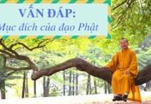Vấn đáp: Mục đích của đạo Phật – Thích Nhật Từ van dap muc dich cua dao phat th