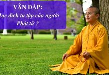 Vấn đáp: Mục đích tu tập của người Phật tử – Thích Nhật Từ van dap muc dich tu tap cua nguo