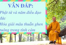 Vấn đáp: Năm điều đạo đức với người Phật tử tại gia – Thích Nhật Từ van dap nam dieu dao duc voi ngu