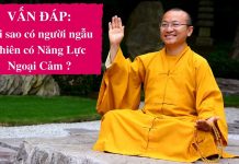 Vấn đáp: Năng lực ngoại cảm – Thích Nhật Từ van dap nang luc ngoai cam thich