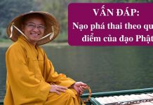 Vấn đáp: Nạo phá thai – Thích Nhật Từ van dap nao pha thai thich nhat