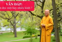 Vấn đáp: Nên đọc một hay nhiều kinh – Thích Nhật Từ van dap nen doc mot hay nhieu ki