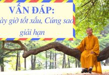 Vấn đáp: Ngày giờ tốt xấu, Cúng sao giải hạn – Thích Nhật Từ van dap ngay gio tot xau cung sa