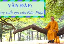 Vấn đáp: Ngày xuất gia của Đức Phật – Thích Nhật Từ van dap ngay xuat gia cua duc ph