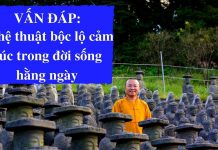 Vấn đáp: Nghệ thuật vượt qua nổi khổ niềm đau trong cuộc sống – Thích Nhật Từ van dap nghe thuat vuot qua noi