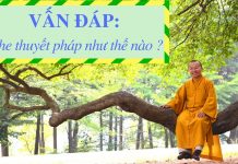 Vấn đáp: Nghe thuyết pháp – Thích Nhật Từ van dap nghe thuyet phap thich n