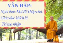 Vấn đáp: Nghi thức Đai Bị Thập chú, giáo dục khích lệ, trị ma nhập – Thích Nhật Từ van dap nghi thuc dai bi thap ch