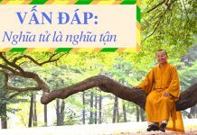 Vấn đáp: Nghĩa tử là nghĩa tận – Thích Nhật Từ van dap nghia tu la nghia tan th