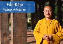 Vấn đáp: Nghiệp chết đột tử – Thích Nhật Từ van dap nghiep chet dot tu thich