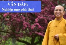Vấn đáp: Nghiệp nạo phá thai – Thích Nhật Từ van dap nghiep nao pha thai thic