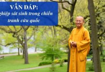 Vấn đáp: Nghiệp sát sinh và chiến tranh cứu quốc – Thích Nhật Từ van dap nghiep sat sinh va chien