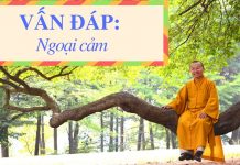 Vấn đáp: Ngoại cảm – Thích Nhật Từ van dap ngoai cam thich nhat tu