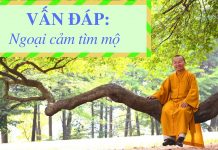 Vấn đáp: Ngoại cảm tìm mộ – Thích Nhật Từ van dap ngoai cam tim mo thich n