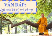 Vấn đáp: Ngũ uẩn là gì, vô sở trụ – Thích Nhật Từ van dap ngu uan la gi vo so tru 1