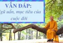 Vấn đáp: Ngũ uẩn, mục tiêu của cuộc đời – Thích Nhật Từ van dap ngu uan muc tieu cua cuo