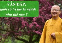 Vấn đáp: Người có trí tuệ – Thích Nhật Từ van dap nguoi co tri tue thich n