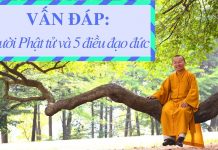 Vấn đáp: Người Phật tử và 5 điều đạo đức – Thích Nhật Từ van dap nguoi phat tu va 5 dieu