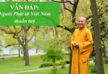 Vấn đáp: Người Phật tử Việt Nam thuần tuý – Thích Nhật Từ van dap nguoi phat tu viet nam t