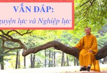 Vấn đáp: Nguyện lực và nghiệp lực – Thích Nhật Từ van dap nguyen luc va nghiep luc
