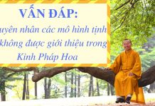 Vấn đáp: Nguyên nhân các mô hình tịnh độ không được giới thiệu trong Kinh Pháp Hoa – Thích Nhật Từ van dap nguyen nhan cac mo hinh